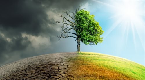 Wybrany obrazek dla artykułu: Jak zmiany klimatyczne wpływają na zdrowie psychiczne Polaków?